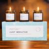 image3 pcs Aromatherapy Scented Candles  Just Breathe Candles Gift Set for Women  HandPoured Soy Wax with Essential Oils Glass Candle Set with Gift Box  High School Graduation Gifts for Her